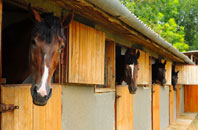 free Stratford Tony stable construction quotes